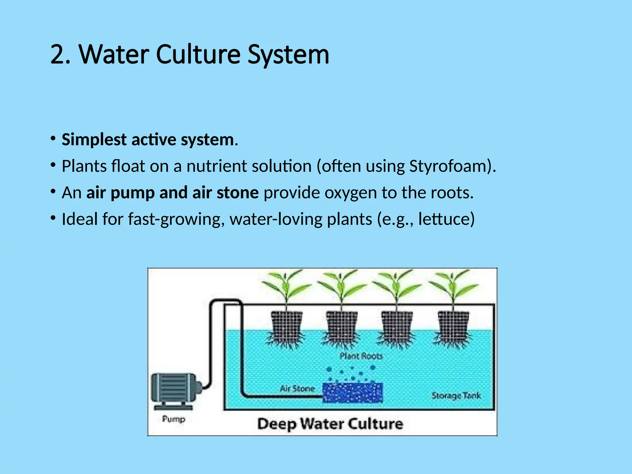 2. Water Culture System
• Simplest active system.
• Plants float on a nutrient solution (often using Styrofoam).
• An air pump and air stone provide oxygen to the roots.
• Ideal for fast-growing, water-loving plants (e.g., lettuce)
 