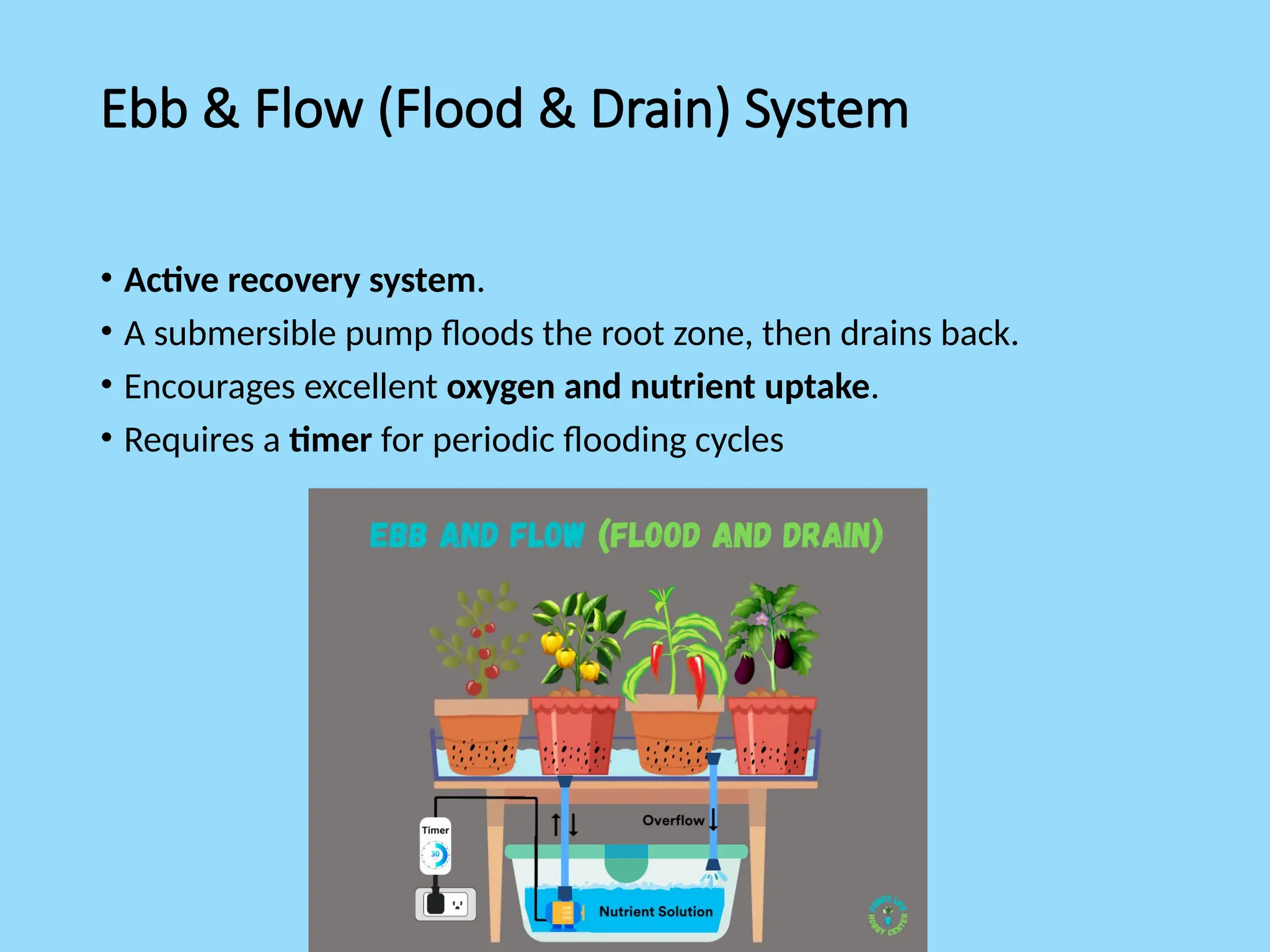 Ebb & Flow (Flood & Drain) System
• Active recovery system.
• A submersible pump floods the root zone, then drains back.
• Encourages excellent oxygen and nutrient uptake.
• Requires a timer for periodic flooding cycles
 