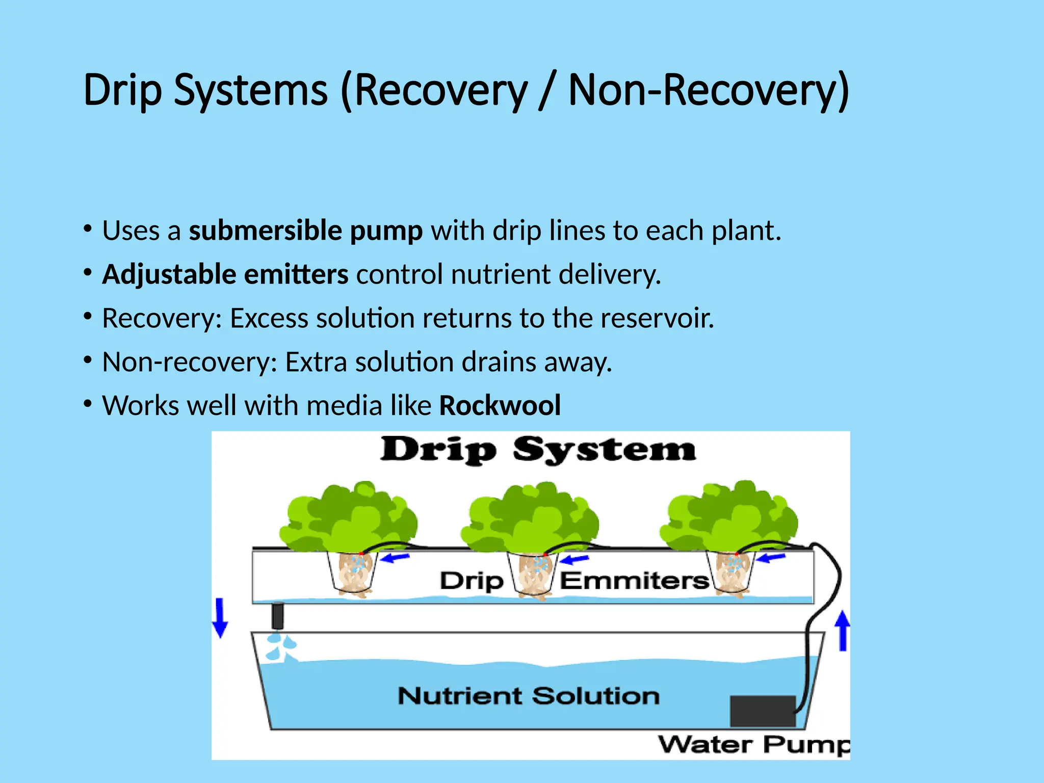 Drip Systems (Recovery / Non-Recovery)
• Uses a submersible pump with drip lines to each plant.
• Adjustable emitters control nutrient delivery.
• Recovery: Excess solution returns to the reservoir.
• Non-recovery: Extra solution drains away.
• Works well with media like Rockwool
 