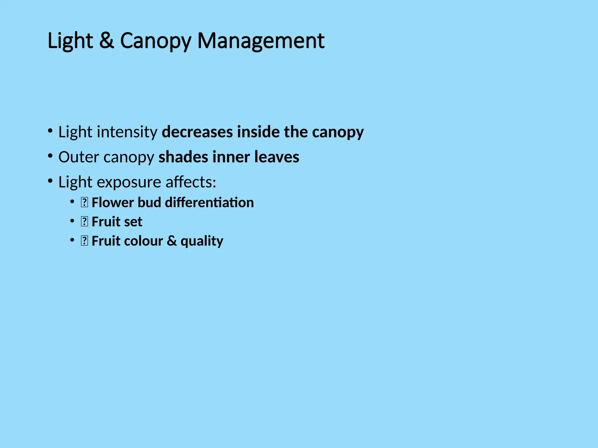 Light & Canopy Management
• Light intensity decreases inside the canopy
• Outer canopy shades inner leaves
• Light exposure affects:
• 🌼 Flower bud differentiation
• 🍈 Fruit set
• 🍎 Fruit colour & quality
 