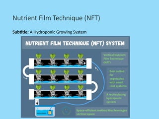 Nutrient Film Technique (NFT)
Subtitle: A Hydroponic Growing System
 