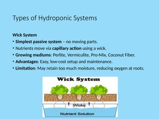 Types of Hydroponic Systems
Wick System
• Simplest passive system – no moving parts.
• Nutrients move via capillary action using a wick.
• Growing mediums: Perlite, Vermiculite, Pro-Mix, Coconut Fiber.
• Advantages: Easy, low-cost setup and maintenance.
• Limitation: May retain too much moisture, reducing oxygen at roots.
 
