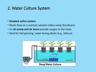 2. Water Culture System
• Simplest active system.
• Plants float on a nutrient solution (often using Styrofoam).
• An air pump and air stone provide oxygen to the roots.
• Ideal for fast-growing, water-loving plants (e.g., lettuce)
 