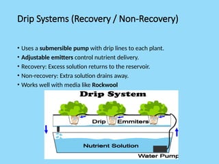 Drip Systems (Recovery / Non-Recovery)
• Uses a submersible pump with drip lines to each plant.
• Adjustable emitters control nutrient delivery.
• Recovery: Excess solution returns to the reservoir.
• Non-recovery: Extra solution drains away.
• Works well with media like Rockwool
 