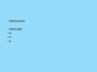• FERTIGATION
• FERTILIZER
• N
• P
• K
 
