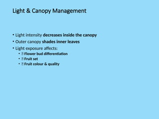 Light & Canopy Management
• Light intensity decreases inside the canopy
• Outer canopy shades inner leaves
• Light exposure affects:
• 🌼 Flower bud differentiation
• 🍈 Fruit set
• 🍎 Fruit colour & quality
 