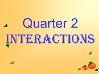 Quarter 2
Interactions

 