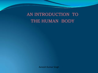 AN INTRODUCTION TO
THE HUMAN BODY
Avnesh Kumar Singh
 