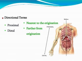 SCOPE OF HUMAN ANATOMY AND PHYSIOLOGY.pptx
