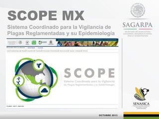 SCOPE MX
Sistema Coordinado para la Vigilancia de
Plagas Reglamentadas y su Epidemiología
ESPACIO PARA IMAGEN
OCTUBRE 2013
 