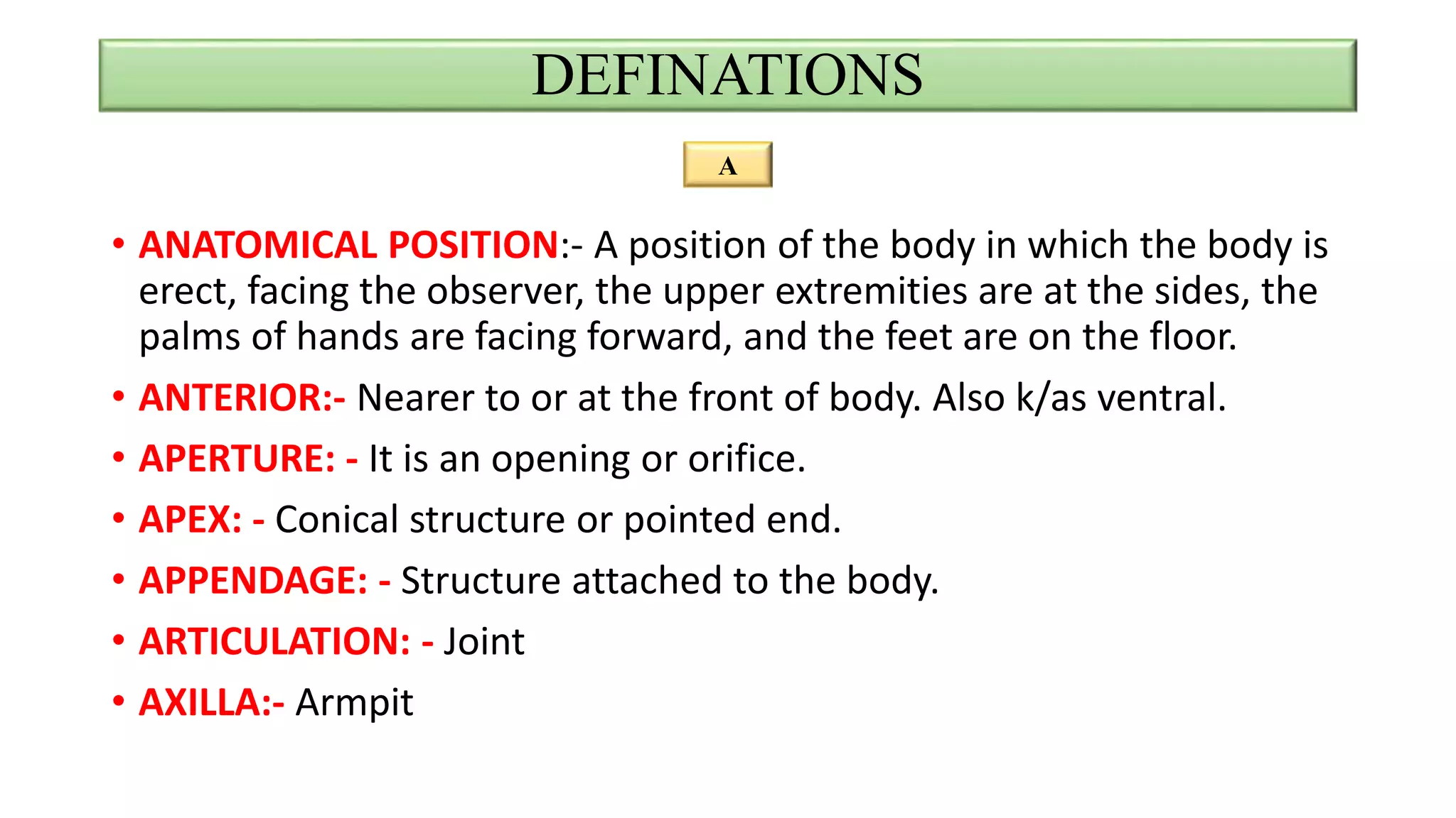 DEFINATIONS
• ANATOMICAL POSITION:- A position of the body in which the body is
erect, facing the observer, the upper extremities are at the sides, the
palms of hands are facing forward, and the feet are on the floor.
• ANTERIOR:- Nearer to or at the front of body. Also k/as ventral.
• APERTURE: - It is an opening or orifice.
• APEX: - Conical structure or pointed end.
• APPENDAGE: - Structure attached to the body.
• ARTICULATION: - Joint
• AXILLA:- Armpit
A
 