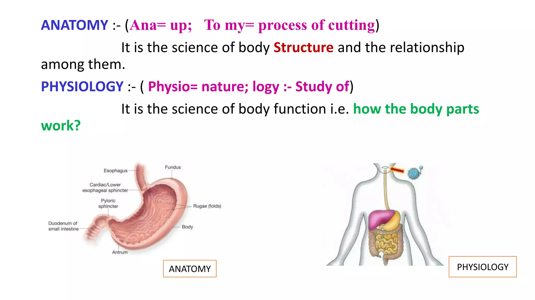 ANATOMY :- (Ana= up; To my= process of cutting)
It is the science of body Structure and the relationship
among them.
PHYSIOLOGY :- ( Physio= nature; logy :- Study of)
It is the science of body function i.e. how the body parts
work?
ANATOMY PHYSIOLOGY
 