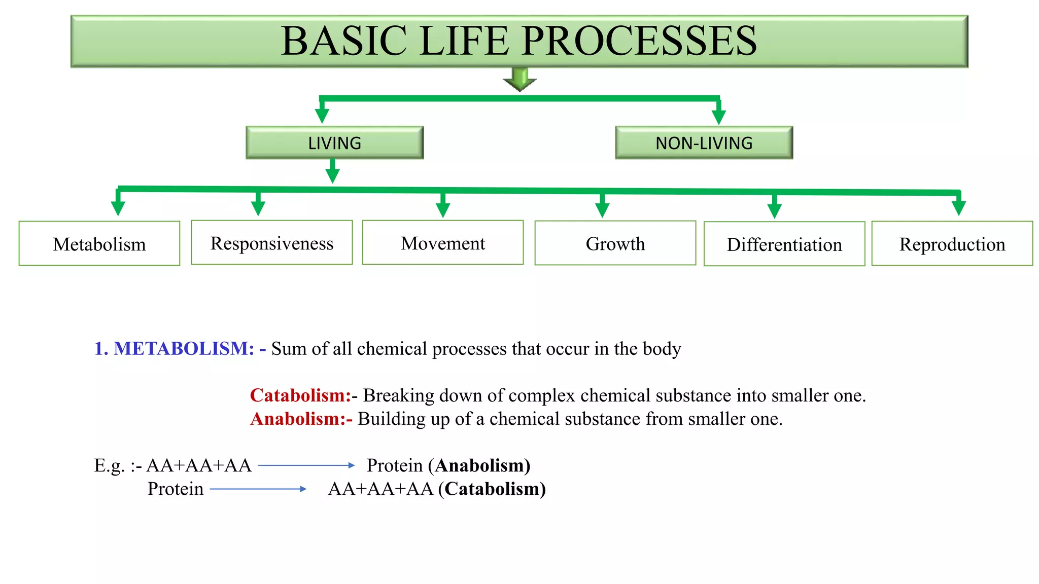 BASIC LIFE PROCESSES
LIVING NON-LIVING
Reproduction
Movement Growth Differentiation
Metabolism Responsiveness
1. METABOLISM: - Sum of all chemical processes that occur in the body
Catabolism:- Breaking down of complex chemical substance into smaller one.
Anabolism:- Building up of a chemical substance from smaller one.
E.g. :- AA+AA+AA Protein (Anabolism)
Protein AA+AA+AA (Catabolism)
 