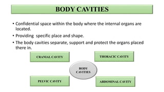 Scope of Anatomy and Physiology.pptx