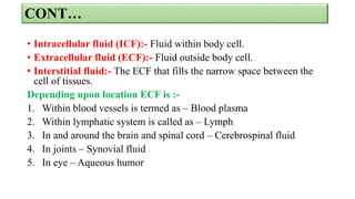 Scope of Anatomy and Physiology.pptx