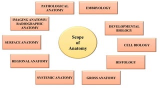 Scope of Anatomy and Physiology.pptx