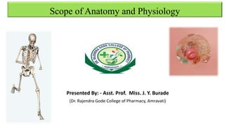 Scope of Anatomy and Physiology
Presented By: - Asst. Prof. Miss. J. Y. Burade
(Dr. Rajendra Gode College of Pharmacy, Amravati)
 