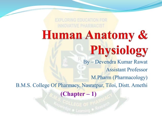 SCOPE OF ANATOMY AND PHYSIOLOGY PDF SLIDESHARE visual data 8