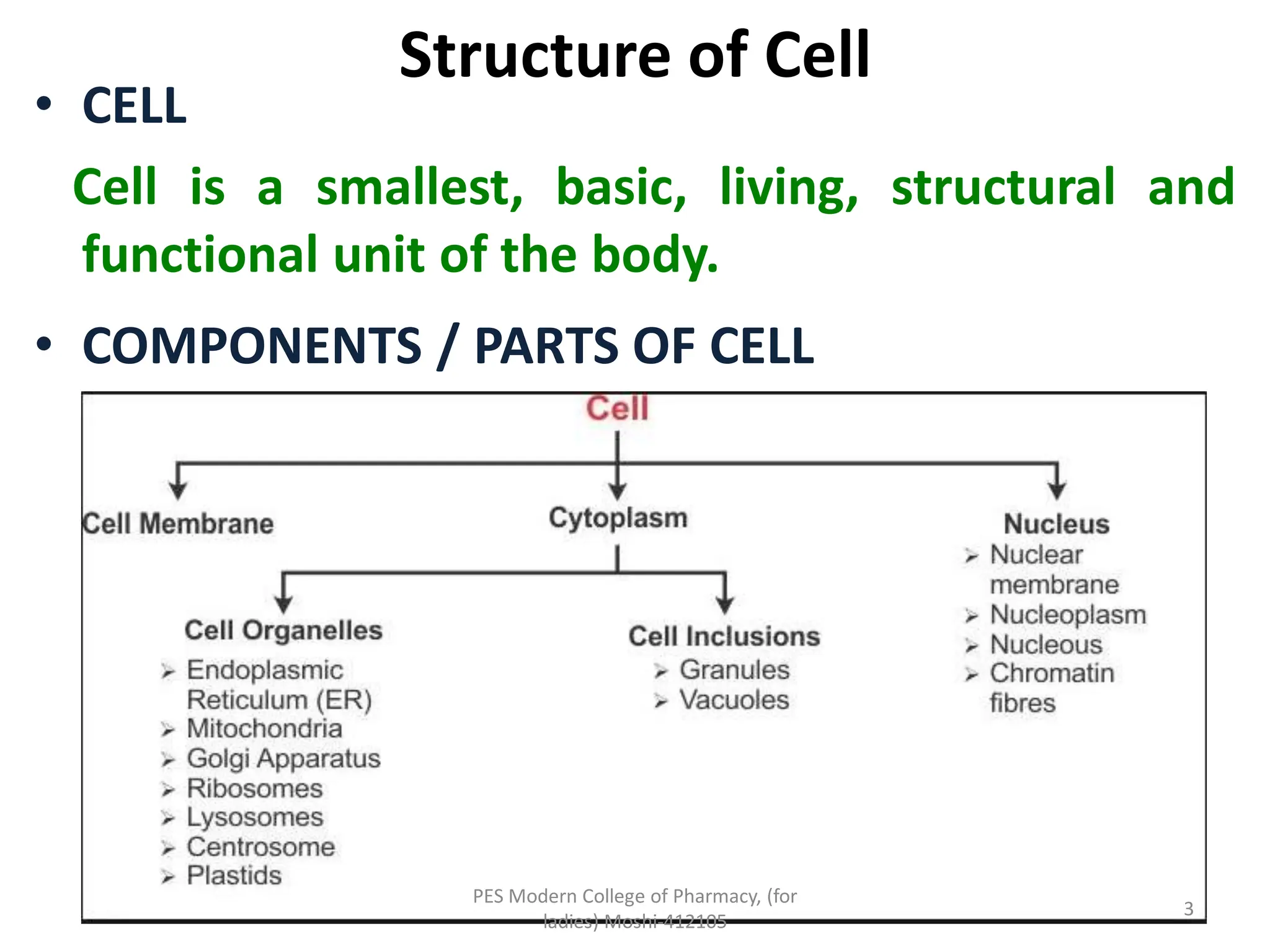 SCOPE OF ANATOMY AND PHYSIOLOGY PDF SLIDESHARE visual data 7