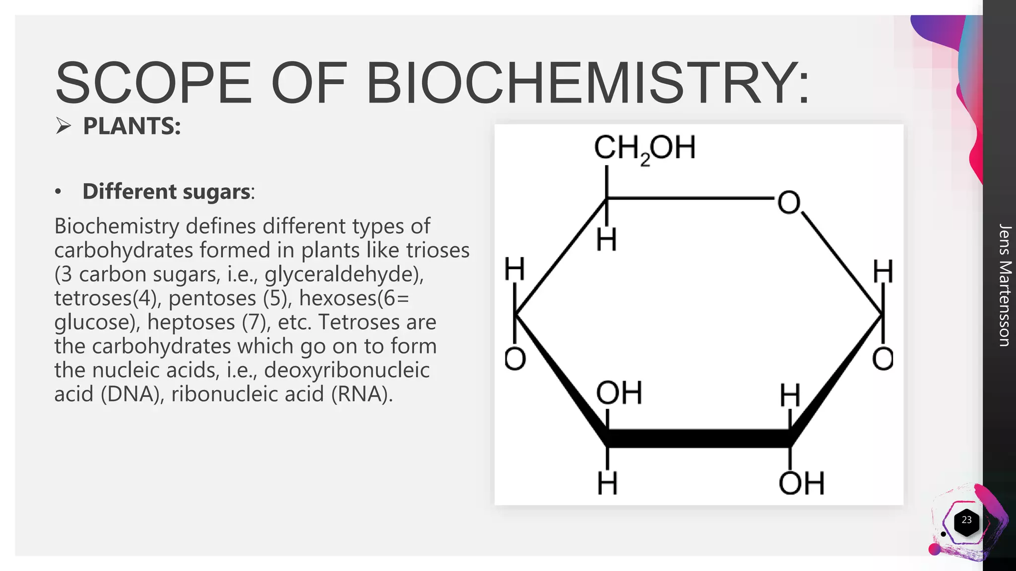 JensMartensson
 PLANTS:
• Different sugars:
Biochemistry defines different types of
carbohydrates formed in plants like trioses
(3 carbon sugars, i.e., glyceraldehyde),
tetroses(4), pentoses (5), hexoses(6=
glucose), heptoses (7), etc. Tetroses are
the carbohydrates which go on to form
the nucleic acids, i.e., deoxyribonucleic
acid (DNA), ribonucleic acid (RNA).
SCOPE OF BIOCHEMISTRY:
23
 