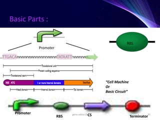 Scope of biotechnology and modern biotechnology | PPTX