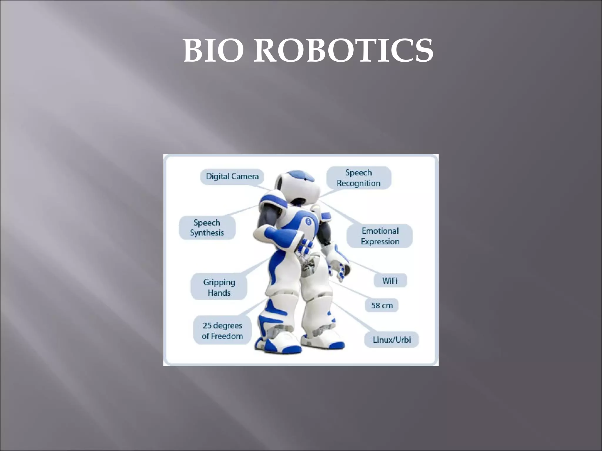 BIO ROBOTICS
 