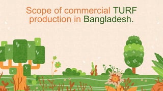 Scope of commercial TURF
production in Bangladesh.
 