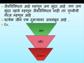  जैवववववधता हहे म्हणून जग सुंदर हहे .पण जग
सुंदर व्हावे म्हणून जैवववववधता नाही तर पृथ्वीची
गरज म्हणून हहे .
 प्रत्येक जीव एक दुसऱ्यावर अवलंबून हहे .
 Ex.
सांप
उंदीर
अन्नधान्य
 