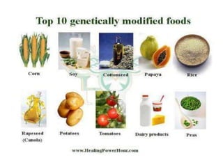 Scope of GM crops in india | PPTX