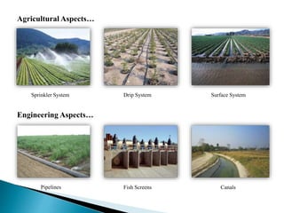 Agricultural Aspects…
Engineering Aspects…
Sprinkler System Drip System Surface System
Pipelines Fish Screens Canals
 