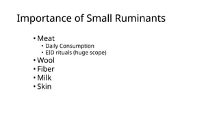 Small Ruminant Meat Scope of Small Ruminants & benefits Lecture | PPTX
