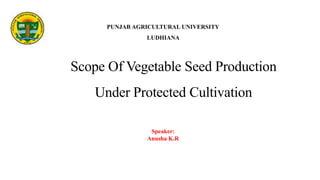 PUNJAB AGRICULTURAL UNIVERSITY
LUDHIANA
Scope Of Vegetable Seed Production
Under Protected Cultivation
Speaker:
Anusha K.R
 