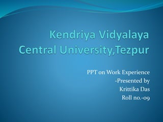 PPT on Work Experience
-Presented by
Krittika Das
Roll no.-09
 