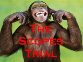 The Scopes Trial 