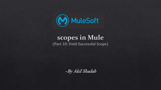 Scopes in mule part 10 until successful scope