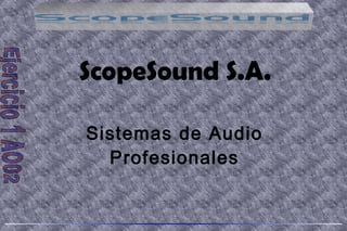 ScopeSound S.A.
Sistemas de Audio
Profesionales
 