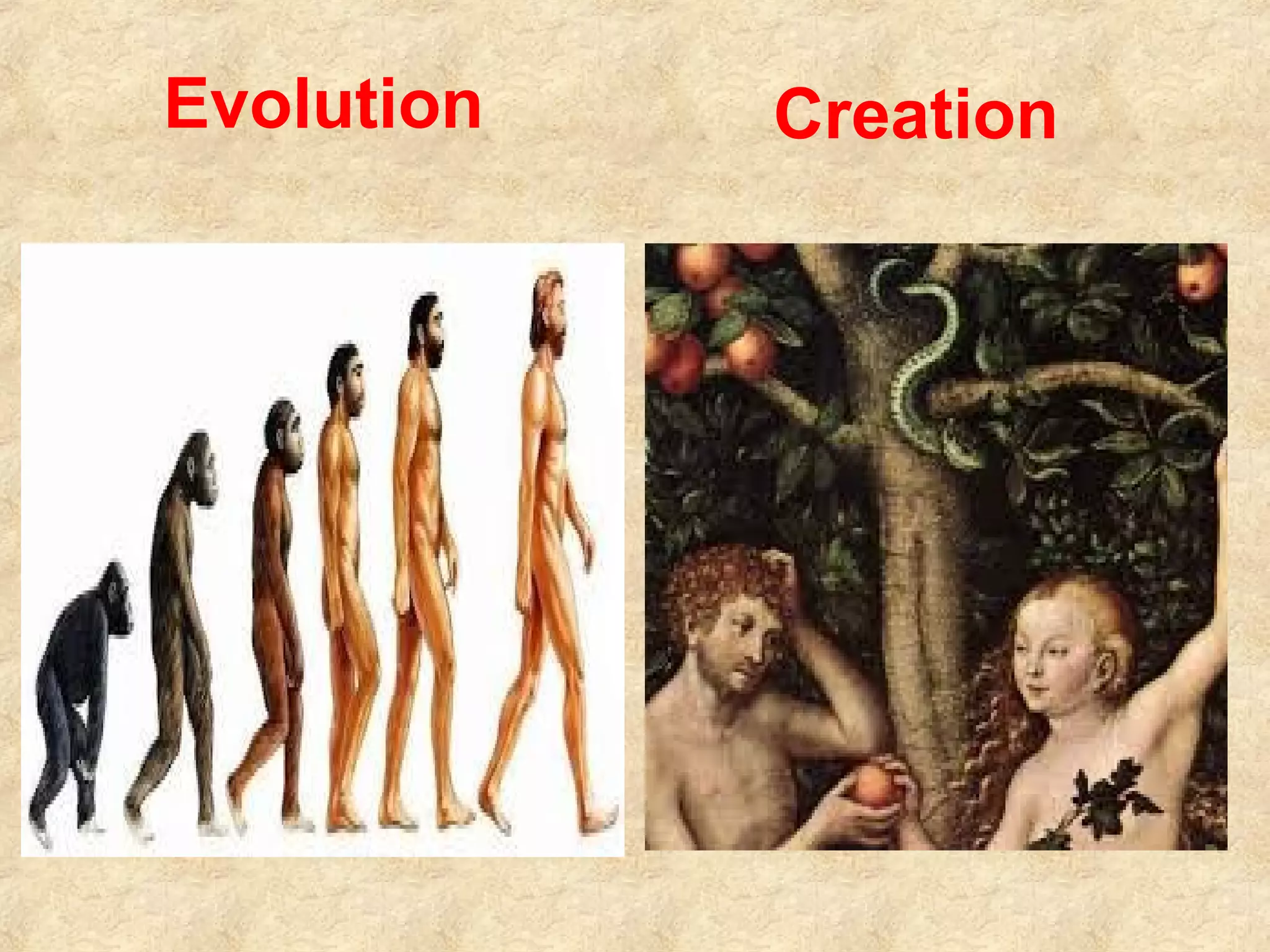Evolution Creation
 