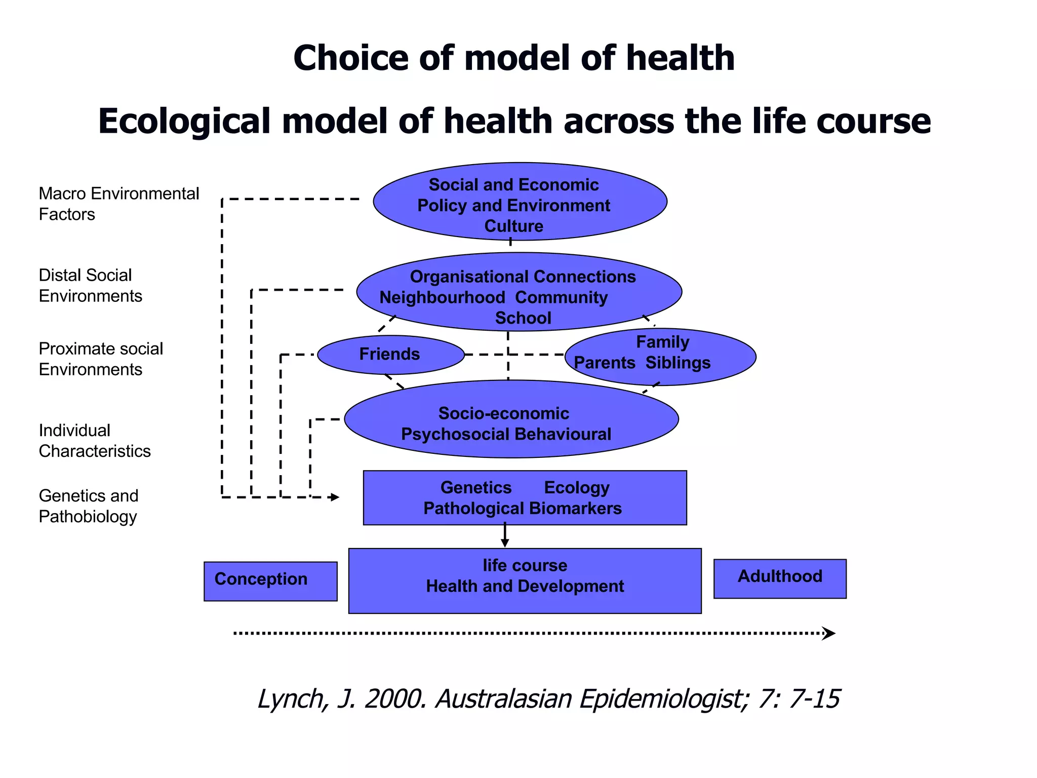 Conception Choice of model of health Ecological model of health across the life course Lynch, J. 2000. Australasian Epidemiologist; 7: 7-15 Friends Family Parents  Siblings   Socio-economic Psychosocial Behavioural   Genetics Ecology Pathological Biomarkers  life course Health and Development Adulthood Social and Economic Policy and Environment Culture Organisational Connections Neighbourhood  Community School Macro Environmental Factors Distal Social Environments  Proximate social Environments Individual Characteristics Genetics and  Pathobiology   