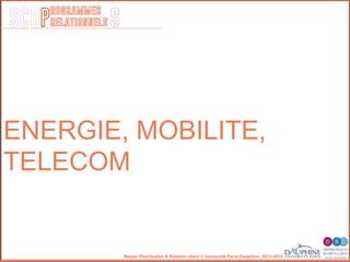 SCOP S
rogrammes
relationnels
Master Distribution & Relation client © Université Paris-Dauphine, 2013-2014
ENERGIE, MOBILITE,
TELECOM
 