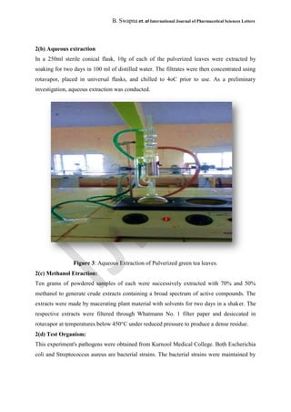 B. Swapna et. al International Journal of Pharmacetical Sciences Letters
2(b) Aqueous extraction
In a 250ml sterile conical flask, 10g of each of the pulverized leaves were extracted by
soaking for two days in 100 ml of distilled water. The filtrates were then concentrated using
rotavapor, placed in universal flasks, and chilled to 4oC prior to use. As a preliminary
investigation, aqueous extraction was conducted.
Figure 3: Aqueous Extraction of Pulverized green tea leaves.
2(c) Methanol Etraction:
Ten grams of powdered samples of each were successively extracted with 70% and 50%
methanol to generate crude extracts containing a broad spectrum of active compounds. The
extracts were made by macerating plant material with solvents for two days in a shaker. The
respective extracts were filtered through Whatmann No. 1 filter paper and desiccated in
rotavapor at temperatures below 450°C under reduced pressure to produce a dense residue.
2(d) Test Organism:
This experiment's pathogens were obtained from Kurnool Medical College. Both Escherichia
coli and Streptococcus aureus are bacterial strains. The bacterial strains were maintained by
 