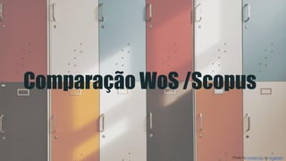 Comparação WoS /Scopus
Photo by moren hsu on Unsplash
 