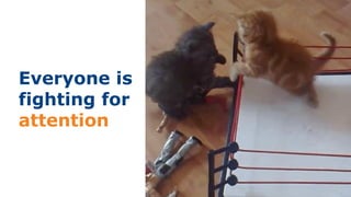 Everyone is
fighting for
attention
 