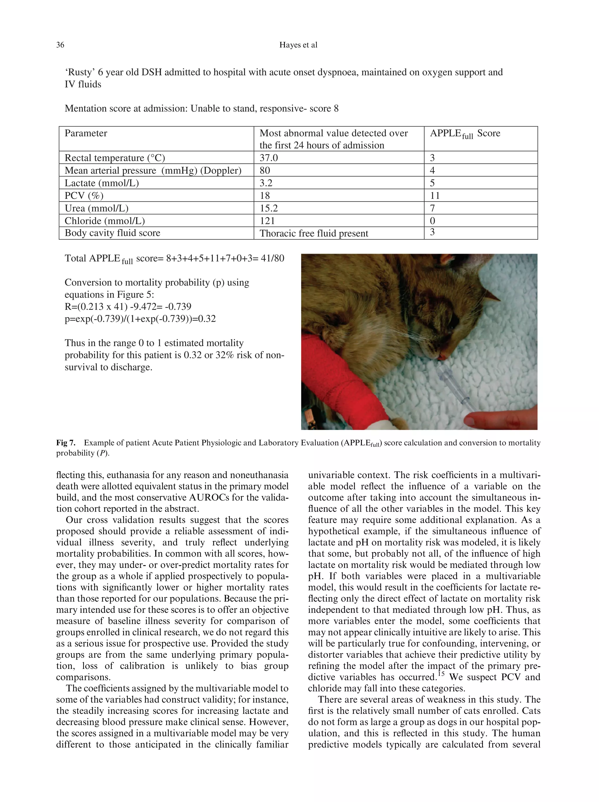 Illustration of Leukemia Fatigue In Objective Cats