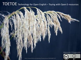 TOETOE Technology for Open English – Toying with Open E-resources




                                                                        Alannah Fitzgerald

                  http://www.flickr.com/photos/hadevereux/3094488747/
 