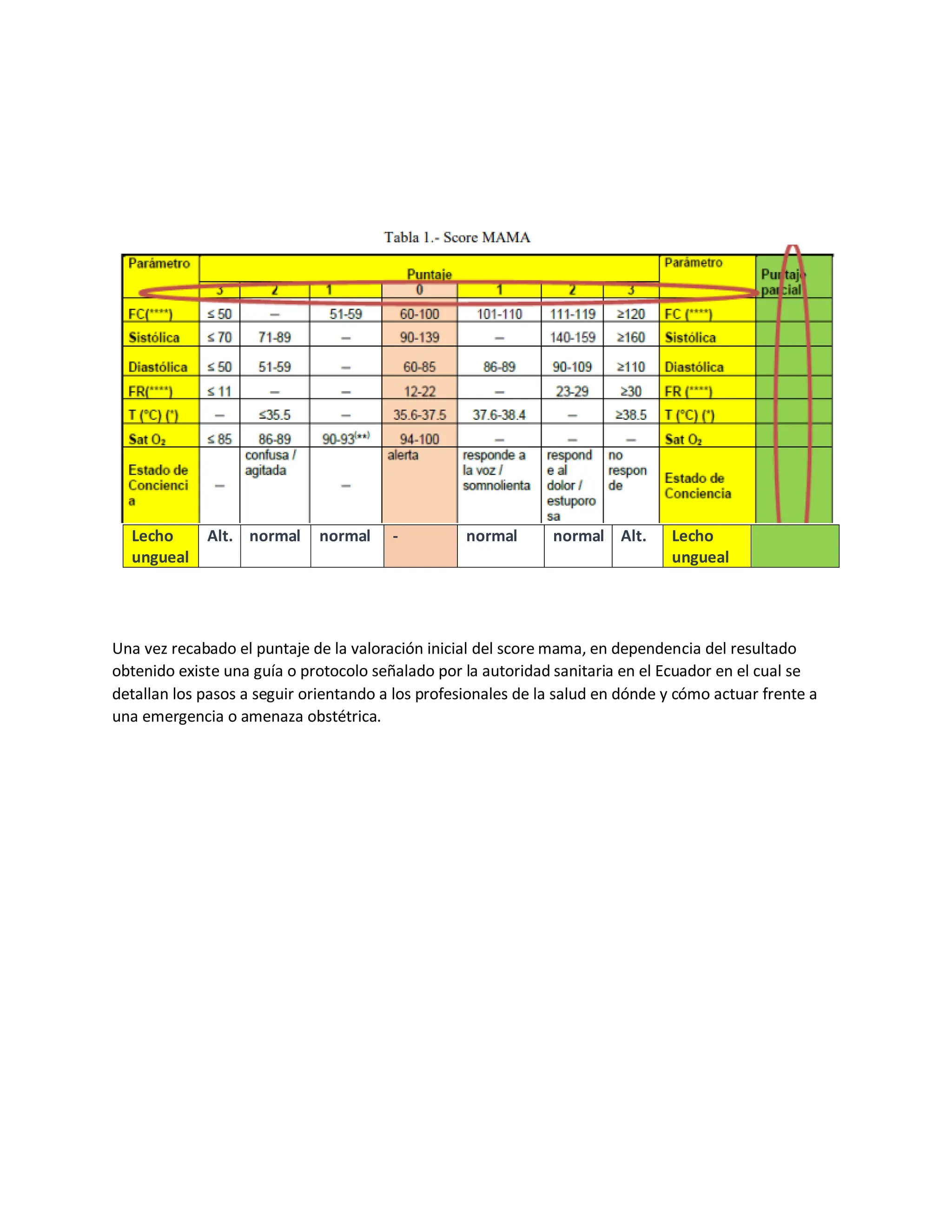 SCORE MAMA MODIFICADO.pdf