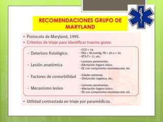 RECOMENDACIONES GRUPO DE
       MARYLAND
 