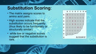 scoring matrices for Bioinformatics.pptx