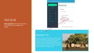 Hot Grid
Hide pagination: decidi se mostrare o
meno le frecce per navigare tra i
popup.
 