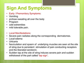• Early / Premonitory Symptoms:
• Vomiting
• profuse sweating all over the body
• Priapism
• cold extremities
• mild tolerable pain.
• Local Manifestations:
• Severe pain radiates along the corresponding dermatomes.
• Local edema
• Urticaria
• fasciculation and spasm of underlying muscles are seen at the site
of sting due to persistent stimulation of pain conducting receptors
and the liberated serotonin.
• Sudden tap at the site of sting induces severe pain and sudden
withdrawal of the part called ‘tap sign’.
Sign And Symptoms
 