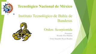 Tecnológico Nacional de México
Instituto Tecnológico de Bahía de
Banderas
Orden: Scorpionida
Presentan:
Ricardo Alva Medina
Erick Alejandro Reyes Rosales
 